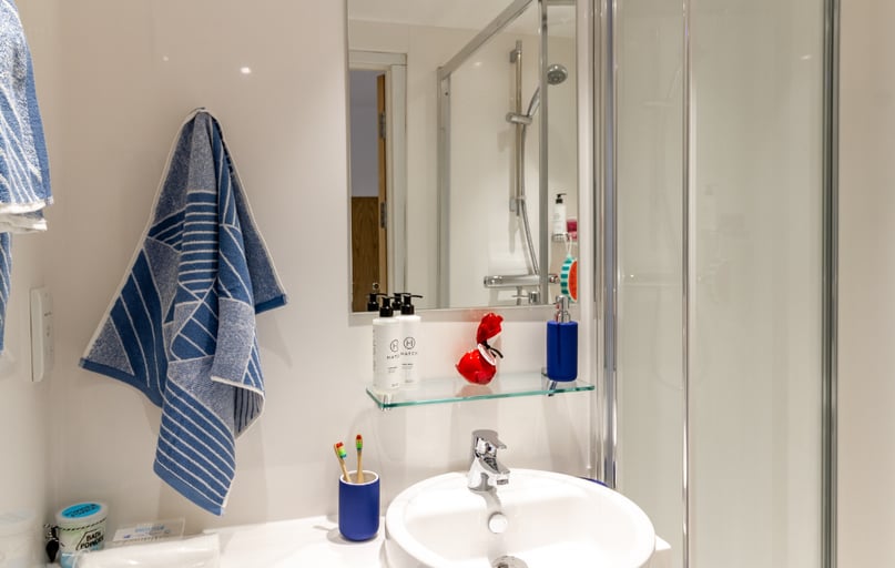 Deluxe En Suite, The Lantern, 6 Bolton Street, Liverpool John Moores University, Liverpool - Image 1